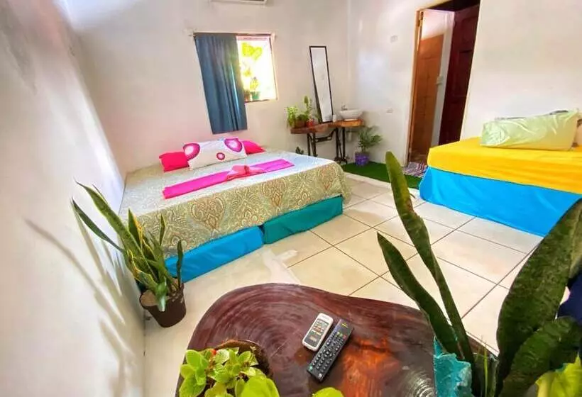 Passifloras Hostel