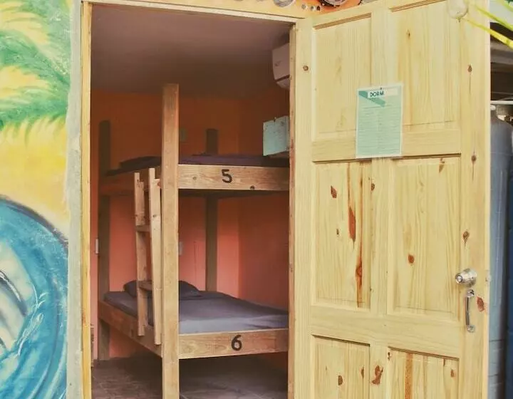 Twin Fin Hostels