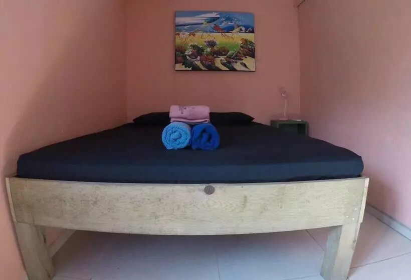 Twin Fin Hostels