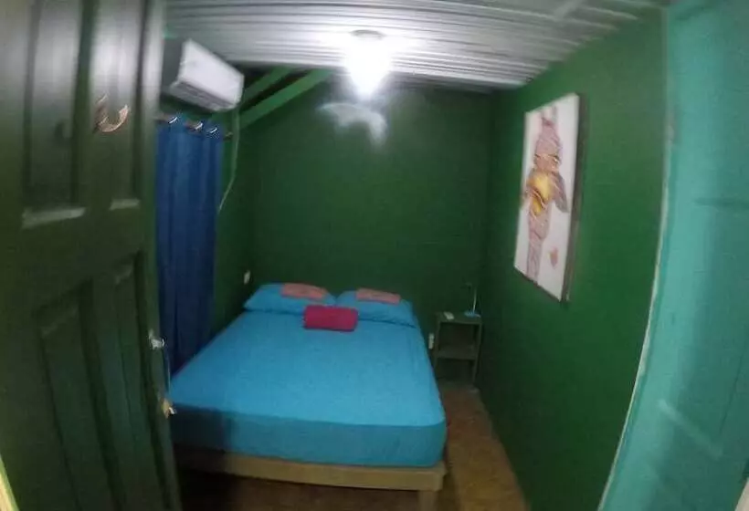 Twin Fin Hostels