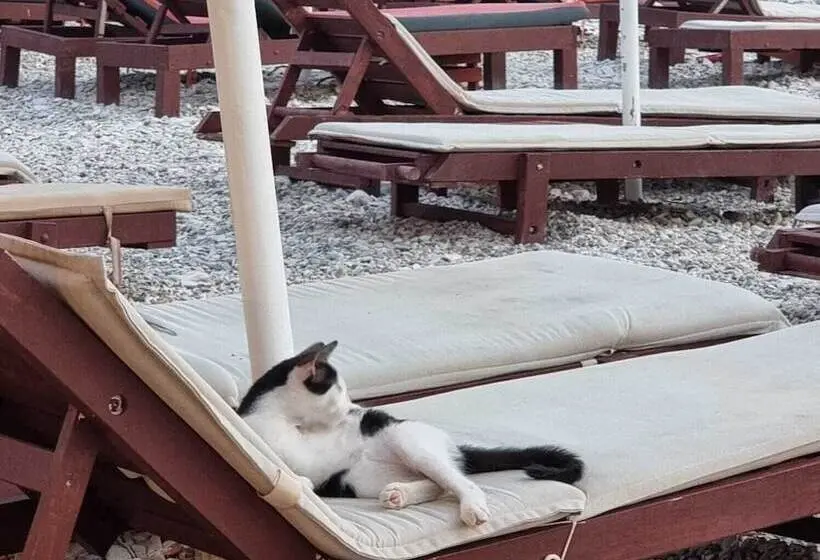 Hotel Mercury Saranda