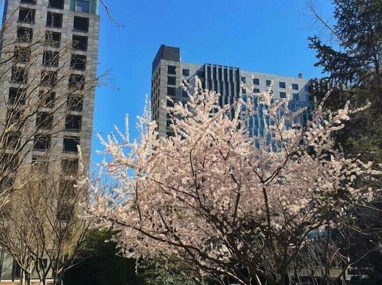 호텔 Beijing Yilejia Apartment