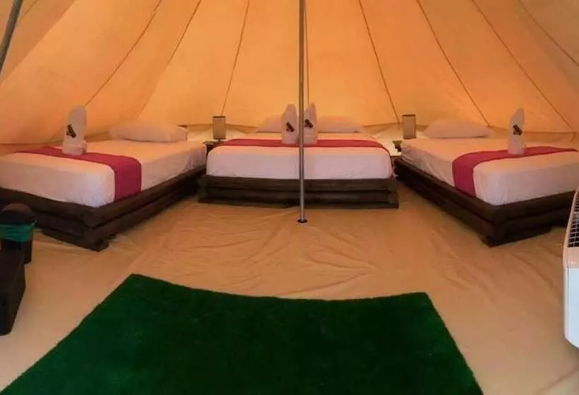 ホテル Tiuma Park