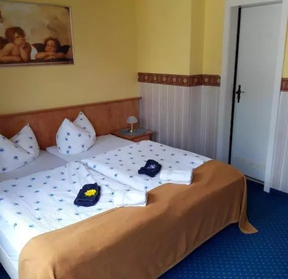 ホテル Zur Altstadt