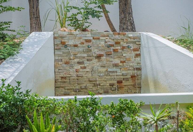 تختخواب و صبحانه Belvedere Boutiqe