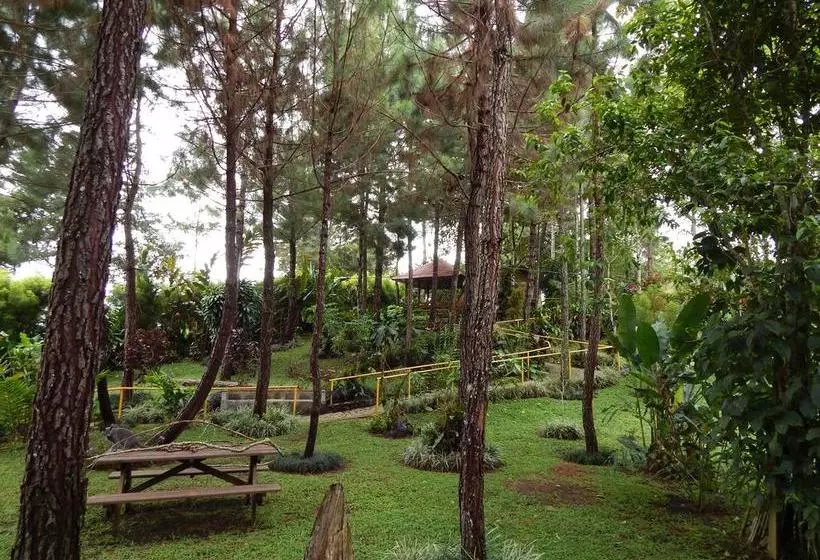 هتل Vista Turrialba Lodge