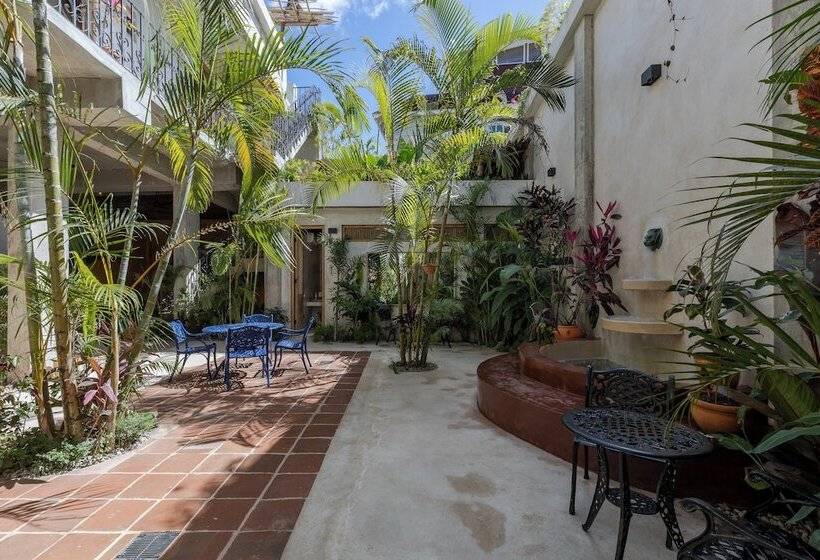 هتل El Mambo Boutique