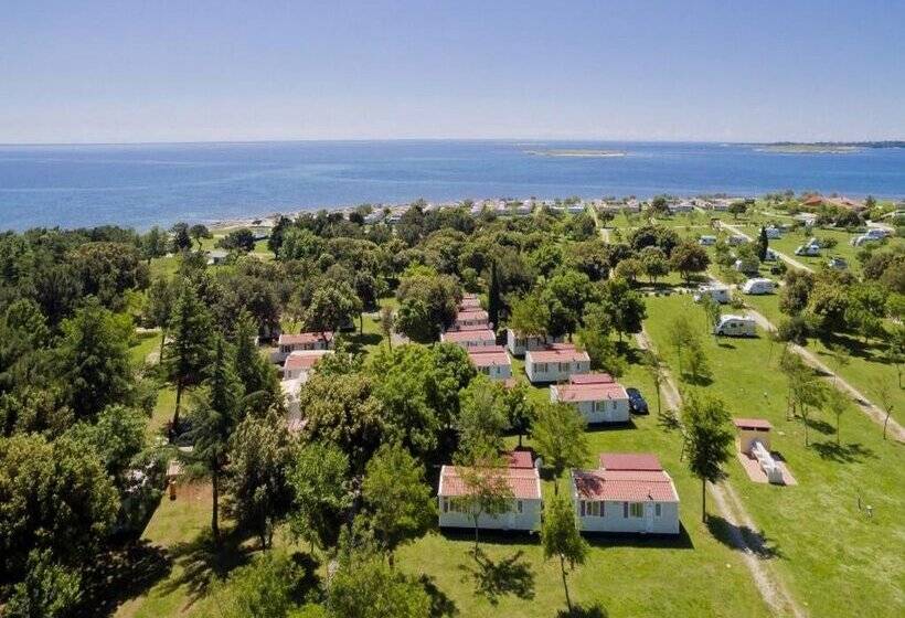 בית מלון כפרי Quality Mobile Homes In Camping Kazela