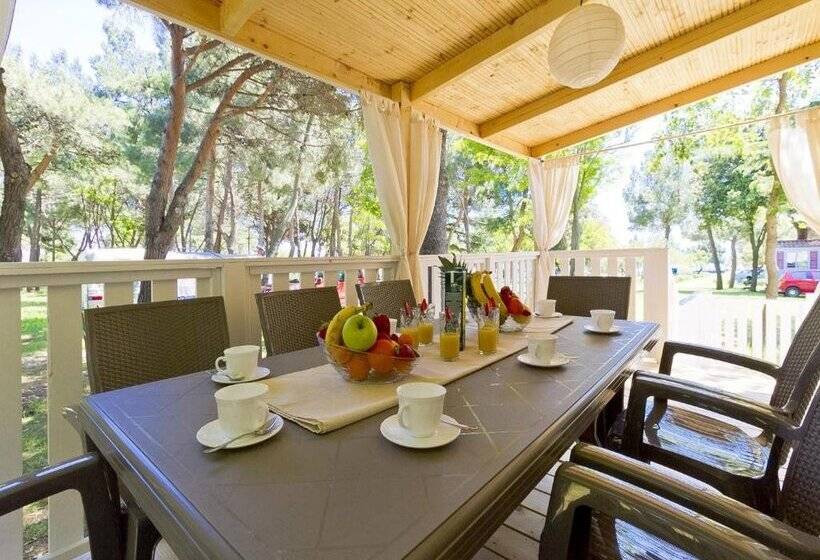 בית מלון כפרי Quality Mobile Homes In Camping Kazela