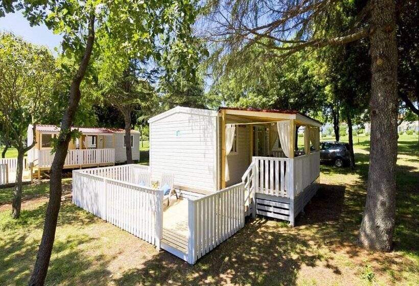 בית מלון כפרי Quality Mobile Homes In Camping Kazela