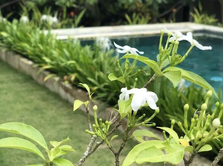 Hotelli Casa Asia