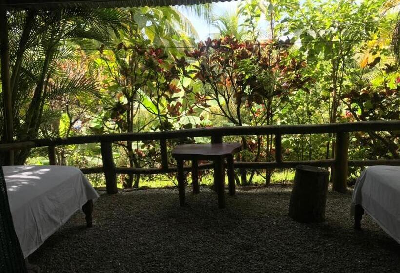 فندق Mal Pais Surf Camp