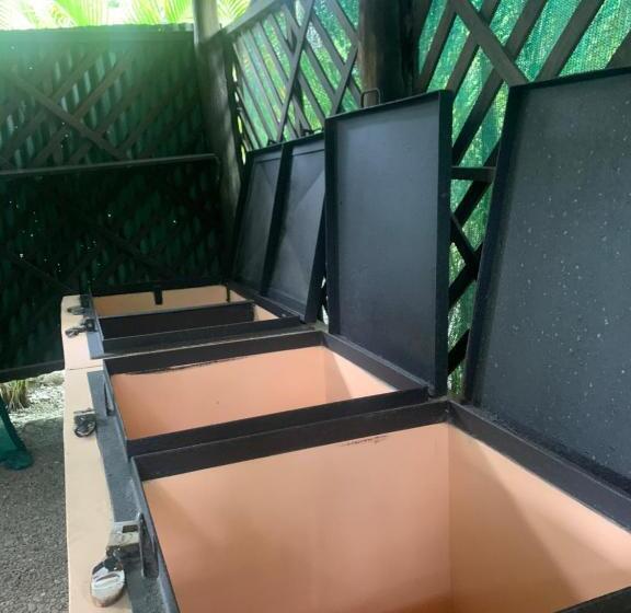 فندق Mal Pais Surf Camp