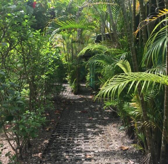 فندق Mal Pais Surf Camp