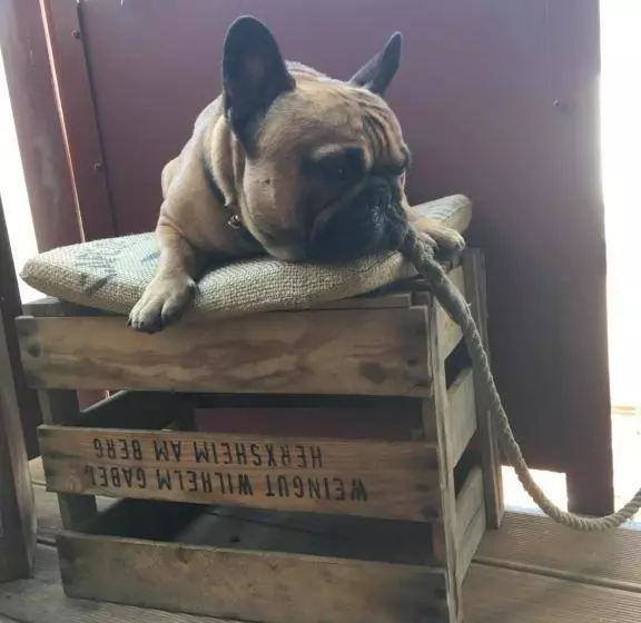 Seemannsheim Hostel Flensburg