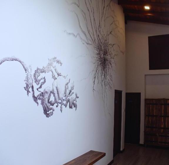 הוסטל Solas Surf