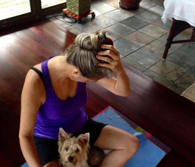 تختخواب و صبحانه El Yunque Rainforest Inn