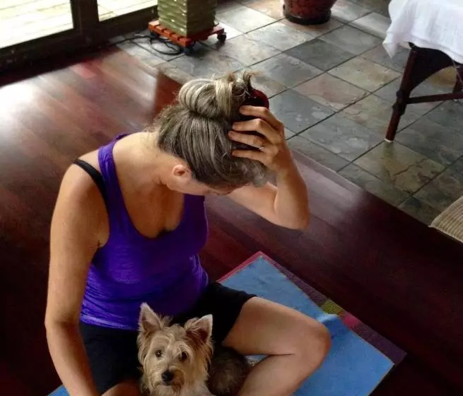 تختخواب و صبحانه El Yunque Rainforest Inn