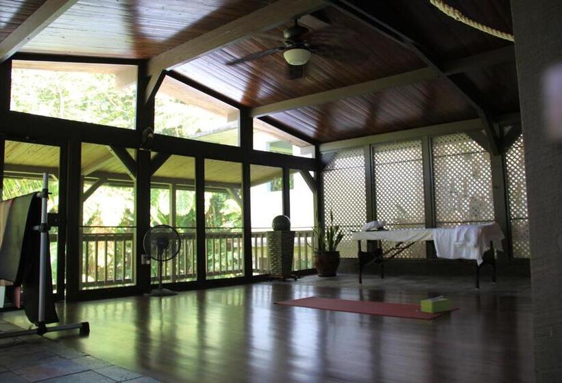 تختخواب و صبحانه El Yunque Rainforest Inn