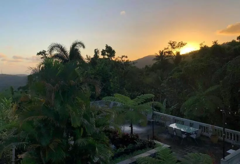 تختخواب و صبحانه El Yunque Rainforest Inn