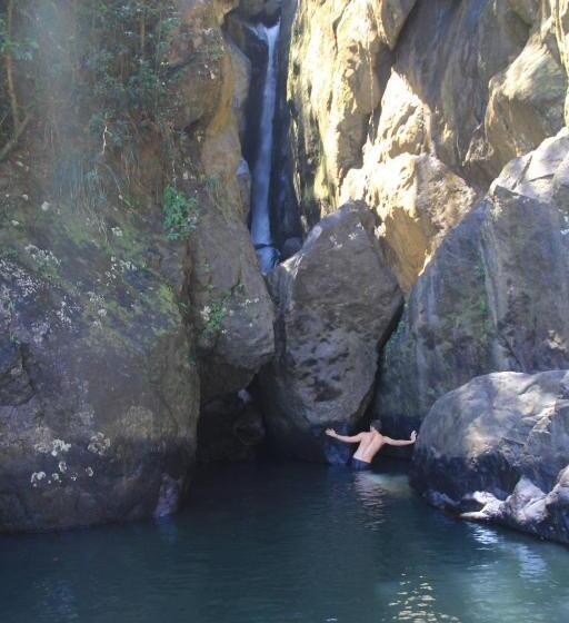 تختخواب و صبحانه El Yunque Rainforest Inn