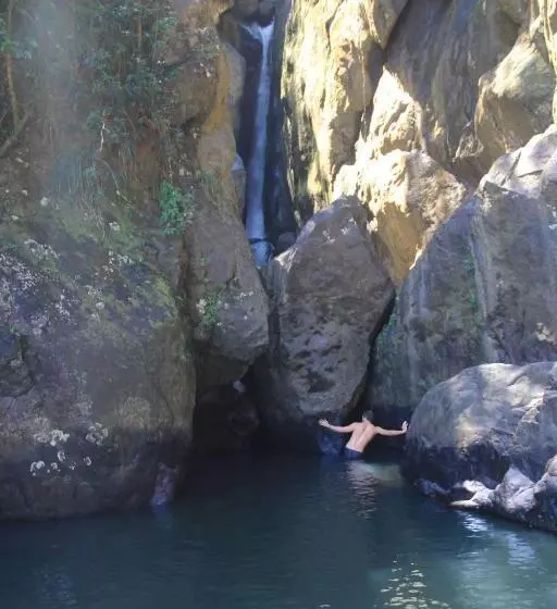 تختخواب و صبحانه El Yunque Rainforest Inn