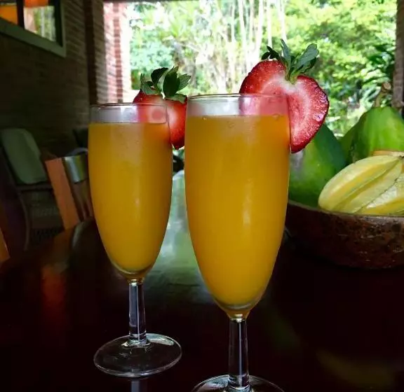 تختخواب و صبحانه El Yunque Rainforest Inn