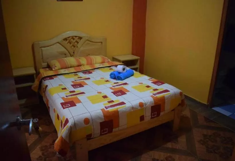 هاستل Caroline Lodging