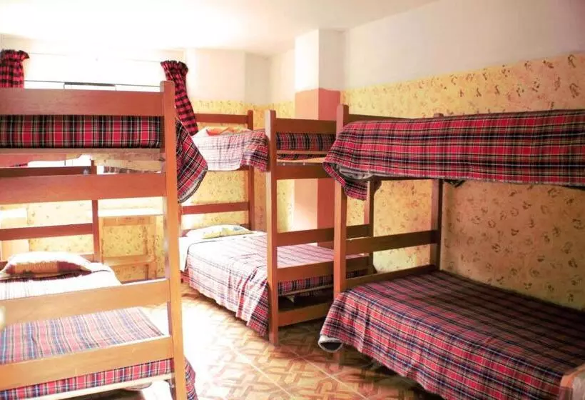 هاستل Caroline Lodging