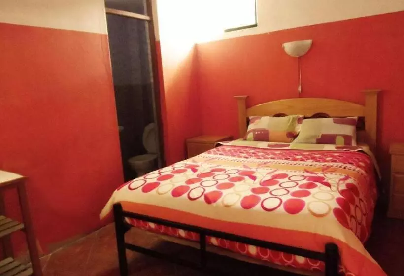 هاستل Caroline Lodging