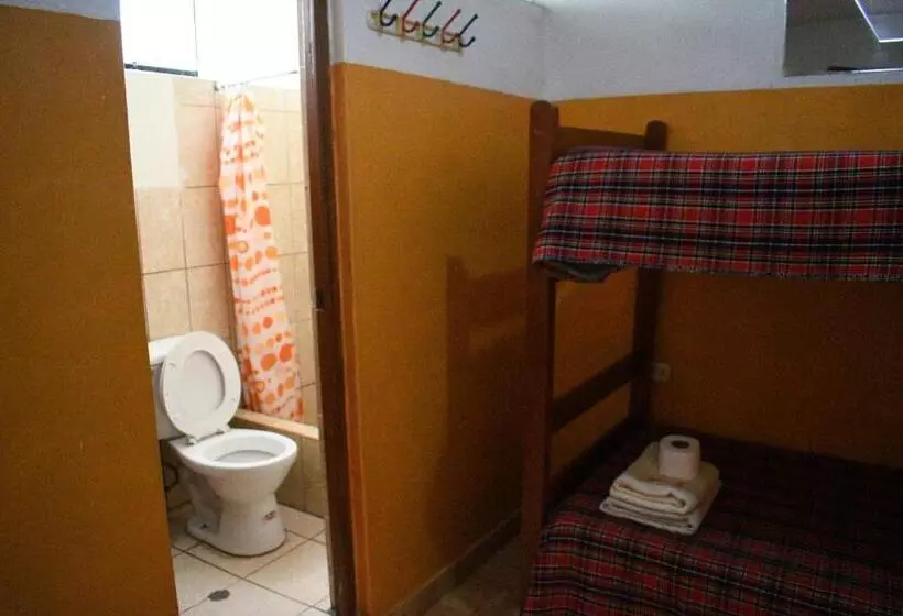 هاستل Caroline Lodging