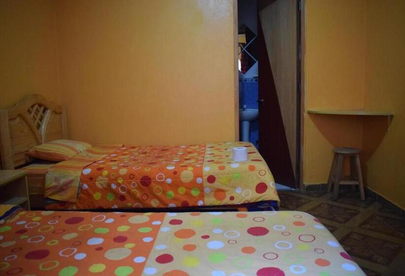 הוסטל Caroline Lodging