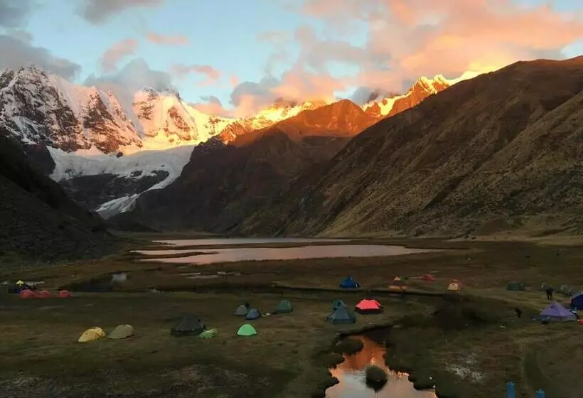 هاستل Caroline Lodging