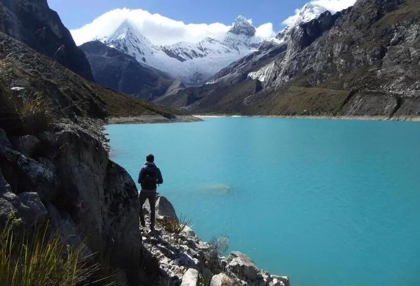 هاستل Caroline Lodging