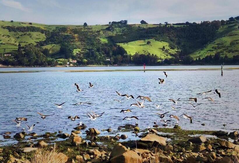 هتل Harbourview Stadium