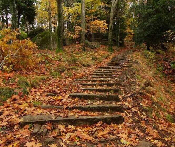 هتل Rural Da Freita