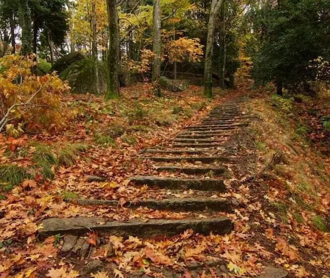 Hotelli Rural Da Freita