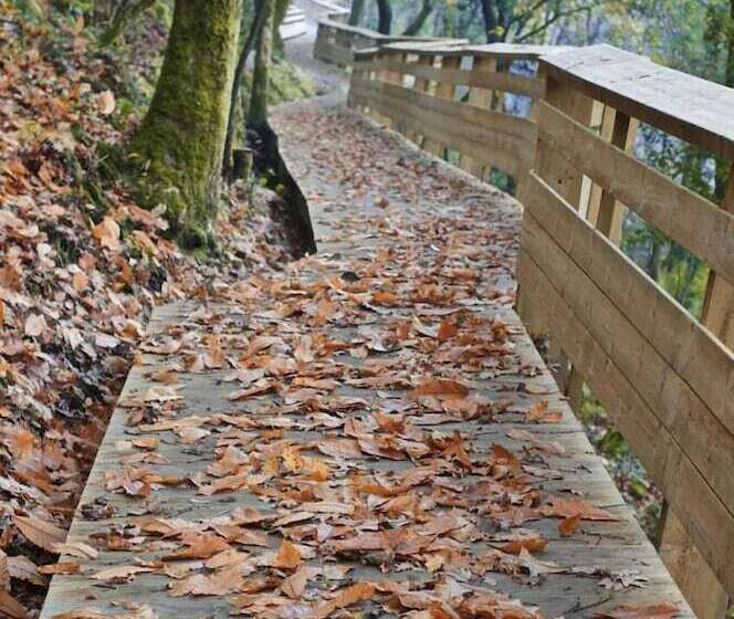 هتل Rural Da Freita