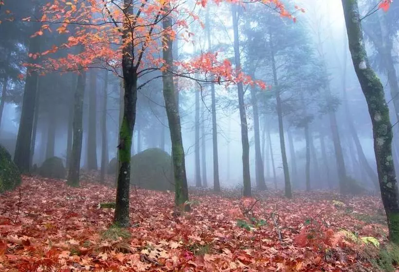 Hotelli Rural Da Freita