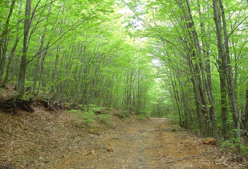 هتل Sofra E Shpatit