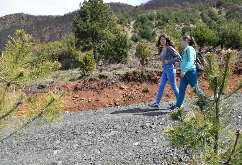 هتل Sofra E Shpatit