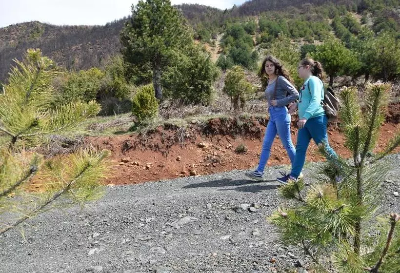 Hotel Sofra E Shpatit