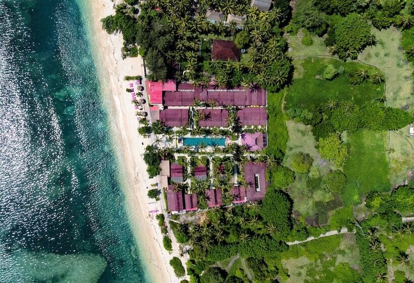 리조트 Pinkcoco Gili Air   Constant Surprises & For Cool Adults Only