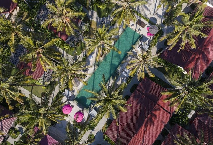 리조트 Pinkcoco Gili Air   Constant Surprises & For Cool Adults Only