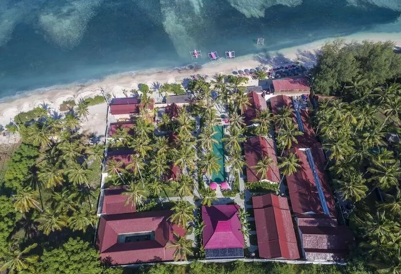 استراحتگاه Pinkcoco Gili Air   Constant Surprises & For Cool Adults Only