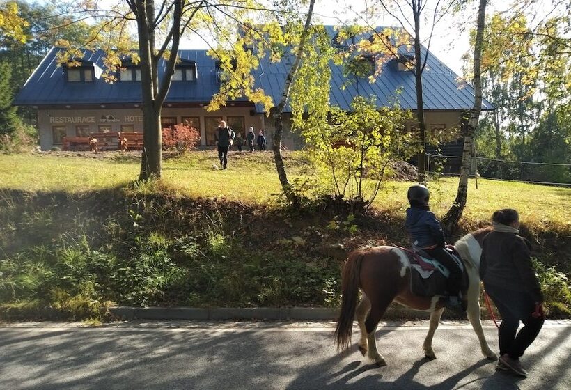 Profamily Hotel Top Benecko