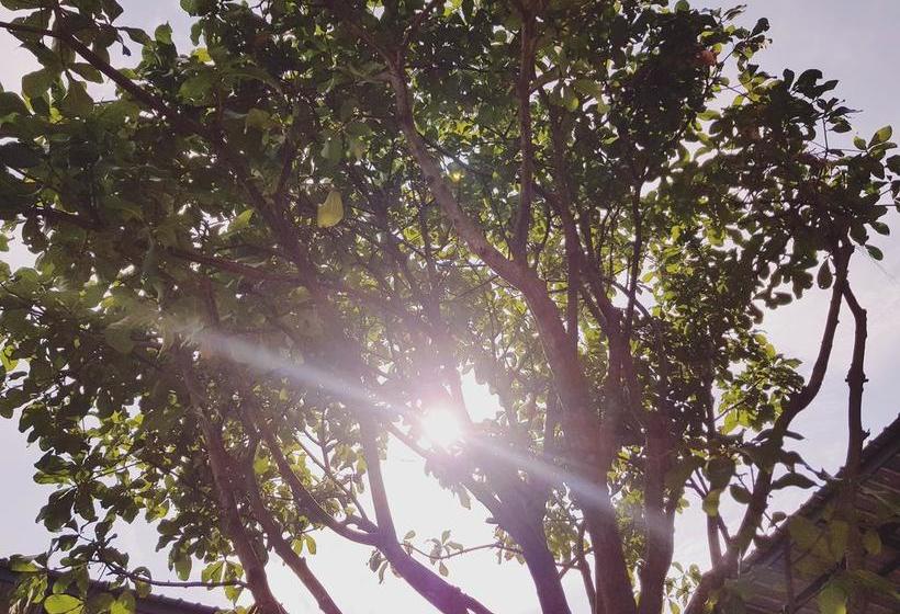 호스텔 Jn9 Poshtel