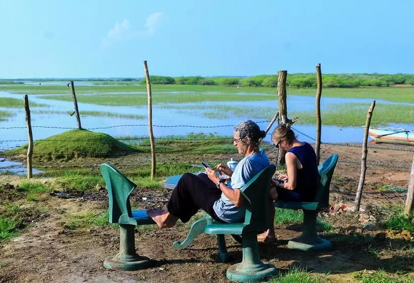 ホテル Bundala Flamingo Cotteges