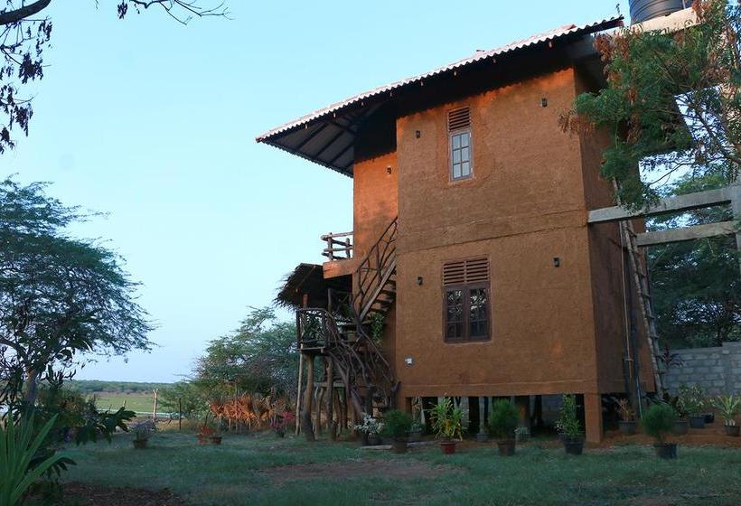 Hotel Bundala Flamingo Cotteges