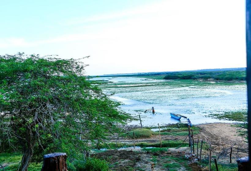 Hotel Bundala Flamingo Cotteges